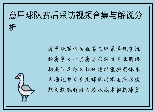 意甲球队赛后采访视频合集与解说分析
