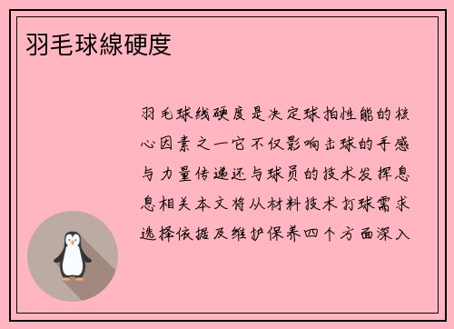 羽毛球線硬度